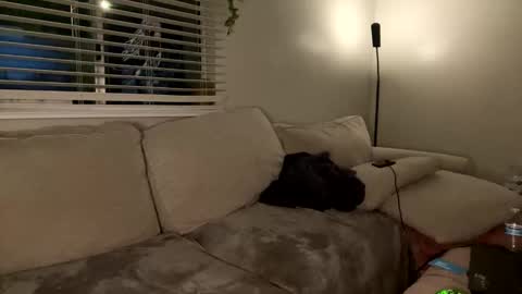 GoddessMayvn online show from January 2025 07:32:01 AM