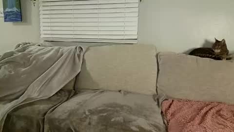 GoddessMayvn online show from January 2025 10:08:01 AM