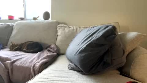 GoddessMayvn online show from February 2025 04:46:01 PM