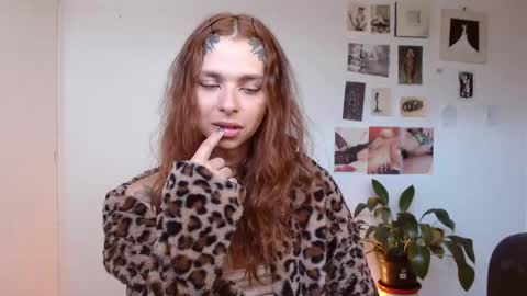 Alaska online show from December 2025 01:17:04 PM