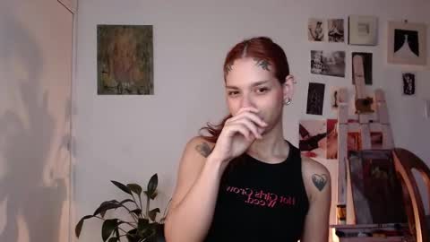 Alaska online show from February 2026 12:06:01 PM