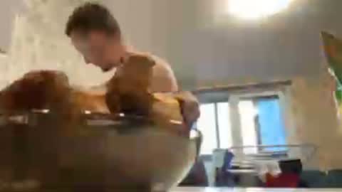 Snapshot of golden_boyyy21 chatting on January 2025 11:55:01 AM Golden boyyy21 online show from January 2025 11:55:01 AM