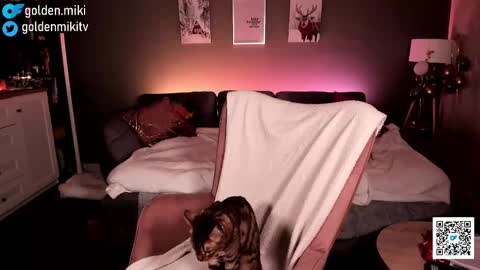 Snapshot of golden_miki chatting on February 2025 06:15:01 AM Shy in the streets but a freak in the sheets online show from February 2025 06:15:01 AM