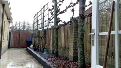 Snapshot of goldenelixxxir chatting on December 2024 12:41:01 PM   online show from December 2024 12:41:01 PM