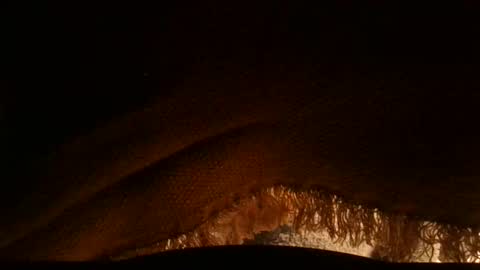 Snapshot of goldserg777 chatting on April 2026 10:13:01 AM Serg online show from April 2026 10:13:01 AM