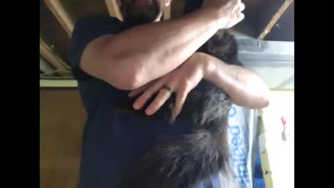 Snapshot of goober1979 chatting on April 2026 11:31:02 AM goober1979 online show from April 2026 11:31:02 AM