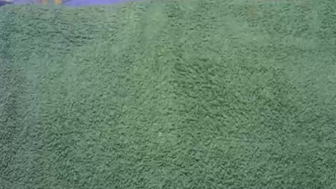 Snapshot of goodfishing chatting on November 2025 12:01:02 AM goodfishing online show from November 2025 12:01:02 AM