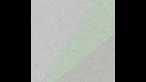 Snapshot of goofyshygirl1 chatting on February 2025 04:57:01 PM Dominique online show from February 2025 04:57:01 PM