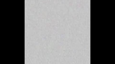 Grace online show from October 2025 11:42:01 AM