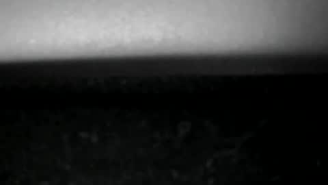 grandbi online show from December 2025 01:52:02 PM