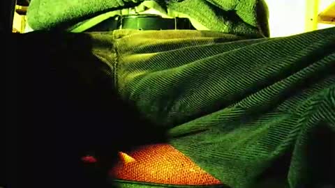 Snapshot of grapefruit chatting on November 2025 09:21:01 AM grapefruit online show from November 2025 09:21:01 AM