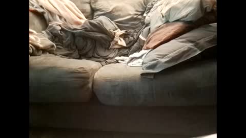 Get US to 1000 you wont be disapointed online show from January 2025 05:16:01 AM