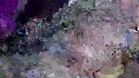 Jack online show from January 2025 11:48:01 AM