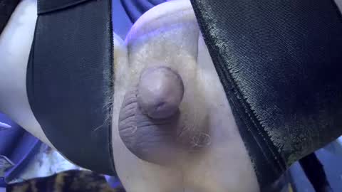 Snapshot of gregbball1 chatting on February 2025 08:25:02 AM electrogee1 online show from February 2025 08:25:02 AM