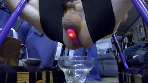 Snapshot of gregbball1 chatting on October 2025 08:12:01 AM electrogee1 online show from October 2025 08:12:01 AM