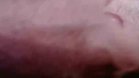 Snapshot of gregburns chatting on February 2026 08:43:01 PM Greg online show from February 2026 08:43:01 PM