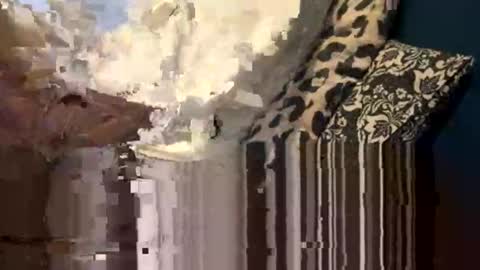 Snapshot of greymen2020 chatting on February 2026 06:04:02 PM greymen2020 online show from February 2026 06:04:02 PM