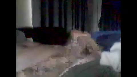 grittslappa online show from February 2026 01:24:01 AM