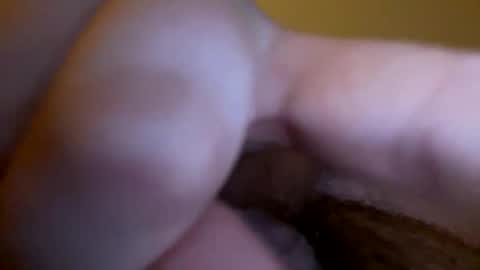 groblol26 online show from January 2026 07:35:02 AM