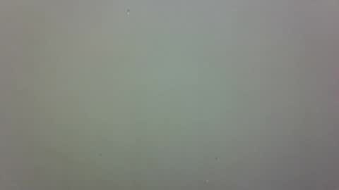 Snapshot of growerboy25 chatting on November 2025 02:56:01 AM growerboy25 online show from November 2025 02:56:01 AM