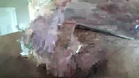 deviant156 online show from May 2026 07:09:02 PM