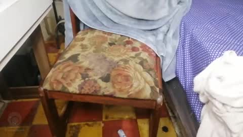 Snapshot of guatemangt chatting on March 2025 04:19:01 AM guatemangt online show from March 2025 04:19:01 AM