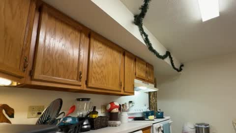 Snapshot of gucciboi4 chatting on November 2025 07:35:02 PM gucciboi4 online show from November 2025 07:35:02 PM