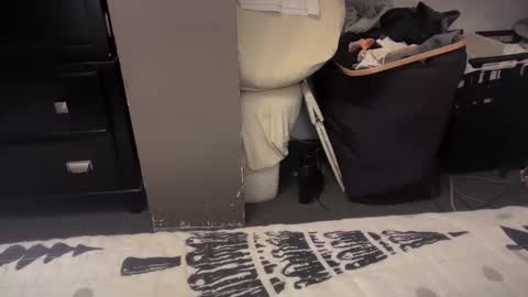 Snapshot of gumbywanna chatting on December 2024 01:36:02 AM gumbywanna online show from December 2024 01:36:02 AM