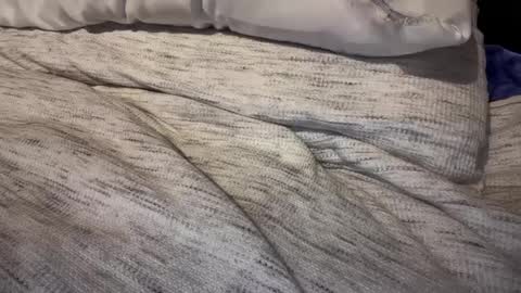 Snapshot of gumbywanna chatting on February 2025 03:23:02 PM gumbywanna online show from February 2025 03:23:02 PM