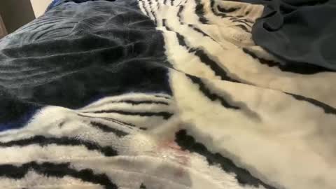 Snapshot of gumbywanna chatting on October 2025 03:25:01 AM gumbywanna online show from October 2025 03:25:01 AM