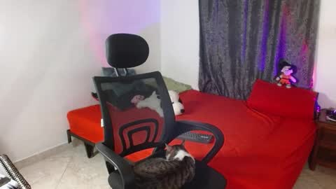 Guts online show from November 2025 07:03:01 PM