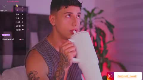 Snapshot of guy_twinks chatting on August 2026 05:18:01 AM Gabriel online show from August 2026 05:18:01 AM