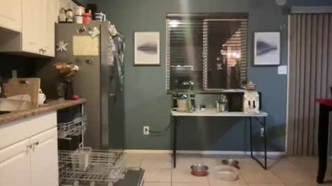 Snapshot of guyduder chatting on November 2025 02:54:02 AM guyduder online show from November 2025 02:54:02 AM