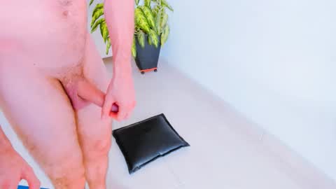 Snapshot of h0ney__p0t chatting on March 2026 08:37:01 PM Margareth Stallion online show from March 2026 08:37:01 PM