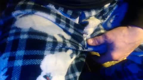 H2omygod online show from January 2025 02:07:02 PM