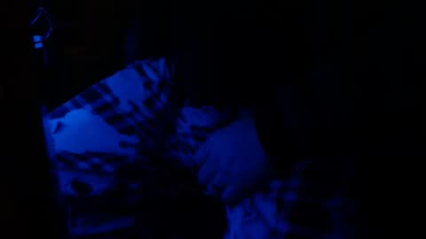 H2omygod online show from January 2025 09:26:01 AM