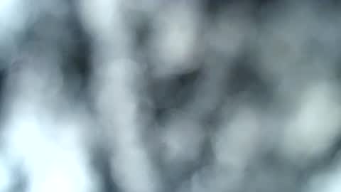 tatted blonde online show from January 2025 12:53:01 AM