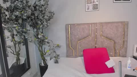 haileystonei online show from November 2025 11:31:01 AM