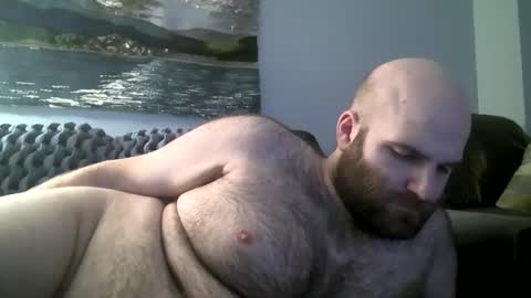 Snapshot of hairiestbear chatting on January 2025 08:36:01 AM Hairiest Bear online show from January 2025 08:36:01 AM
