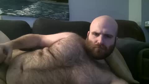 Snapshot of hairiestbear chatting on January 2025 07:10:02 AM Hairiest Bear online show from January 2025 07:10:02 AM