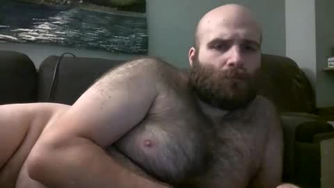 Snapshot of hairiestbear chatting on February 2025 12:08:02 PM Hairiest Bear online show from February 2025 12:08:02 PM