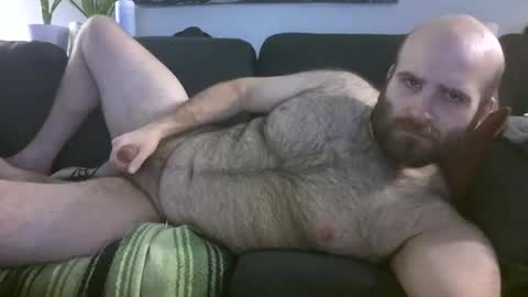 Snapshot of hairiestbear chatting on March 2026 06:19:02 AM Hairiest Bear online show from March 2026 06:19:02 AM