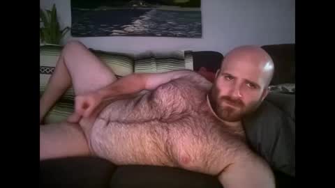Snapshot of hairiestbear chatting on April 2026 11:39:02 PM Hairiest Bear online show from April 2026 11:39:02 PM