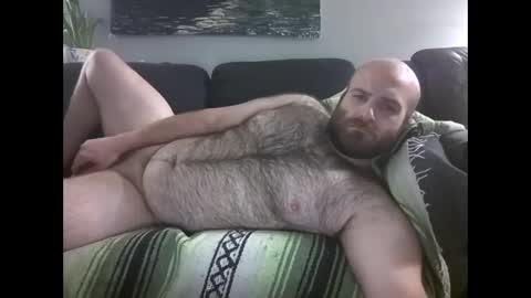 Snapshot of hairiestbear chatting on May 2026 08:30:01 AM Hairiest Bear online show from May 2026 08:30:01 AM