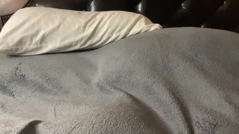 J  M online show from March 2025 11:54:01 PM