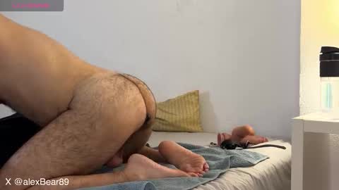 hairyarabbear online show from December 2025 11:34:02 PM