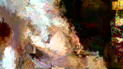 Snapshot of hairybear813 chatting on January 2025 11:44:01 PM hairybear813 online show from January 2025 11:44:01 PM