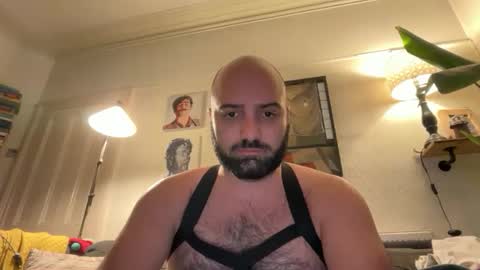 Snapshot of hairyleatherguy chatting on February 2026 09:44:01 PM Hairy Guy online show from February 2026 09:44:01 PM