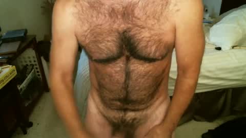 Hairy pecs online show from October 2025 04:57:01 AM