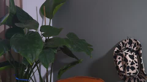 Snapshot of hairyrobxxx chatting on September 2025 10:05:01 AM HairyRobXxX online show from September 2025 10:05:01 AM